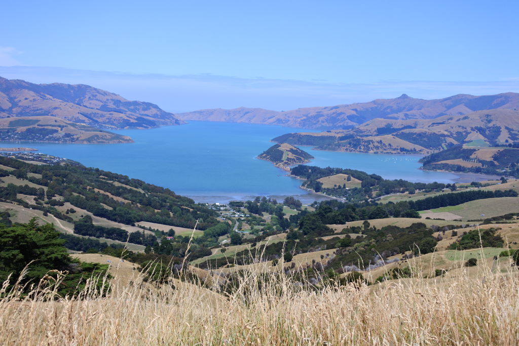 die Bucht von Akaroa